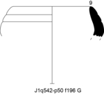 W20d0101 J01q542-p50 R807 kF cv f196.jpg